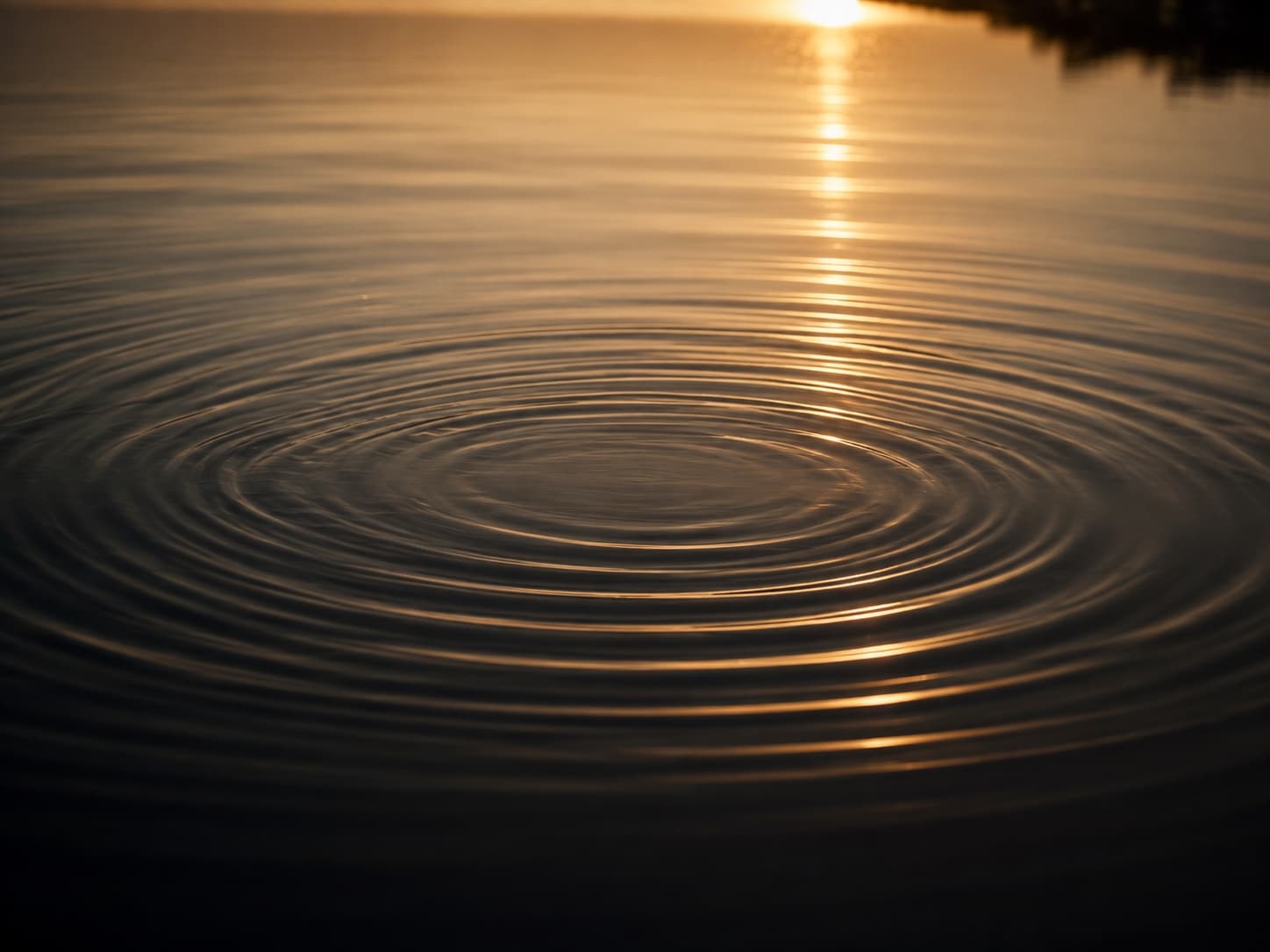 Concentric ripples spreading across dark water.